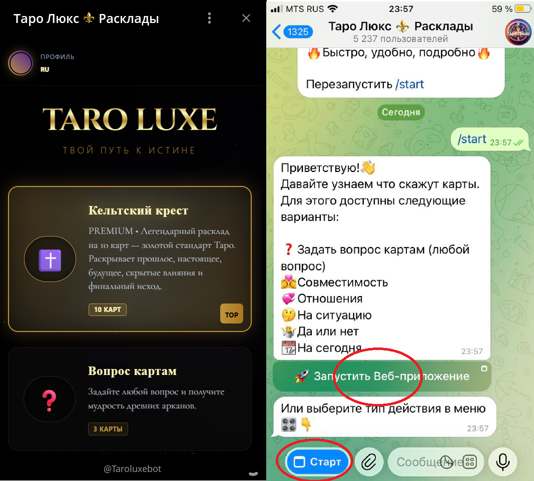 Бот таро перейти